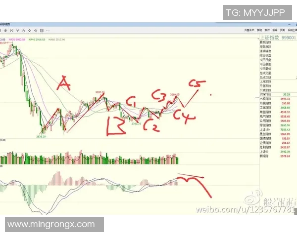 武汉排球队战术深度解析：从进攻布局到防守策略的全面剖析