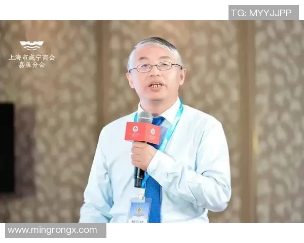 上海排球队个人能力分析与战术配合的深度探讨