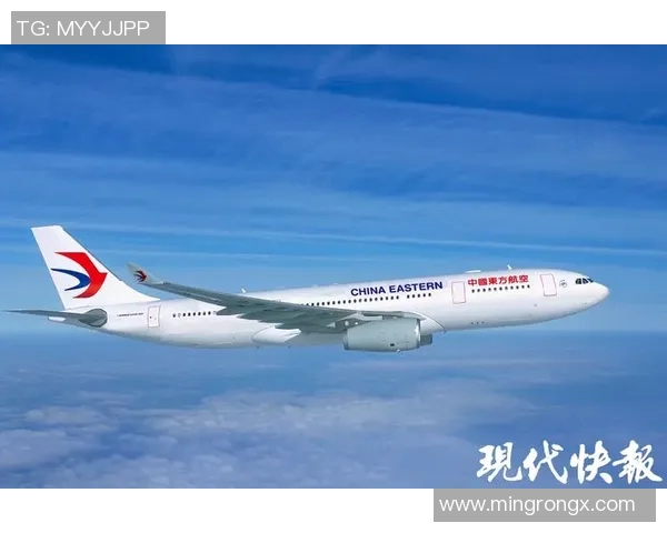 南京排球队勇闯洲际杯的辉煌之路与奋斗故事