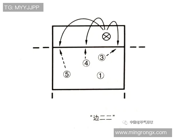 杭州排球队反击战术解析与未来发展展望 杭州排球队反击战术解析与未来发展展望