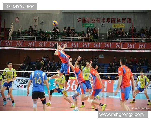 对话吴伟：回顾排球生涯中的挑战与成就分享