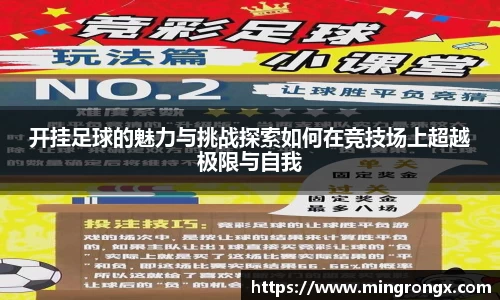 yy易游中国体育